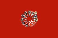 梧州市长洲区回收红酒